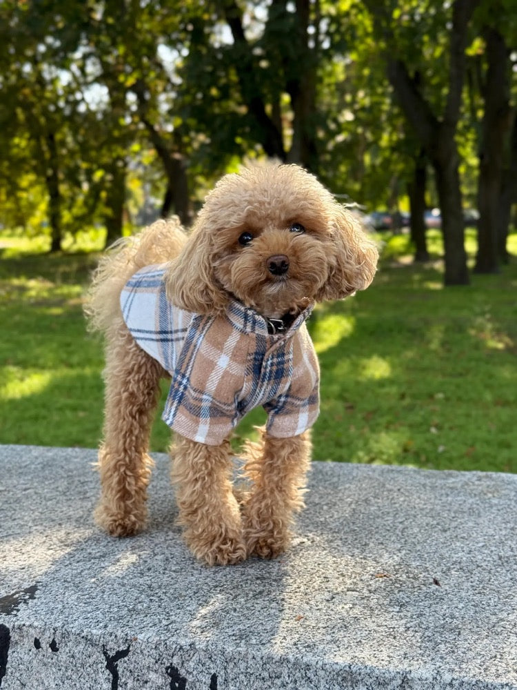 Cozy Plaid Flannel Dog Shirt, Small Breed Puppy Outfit