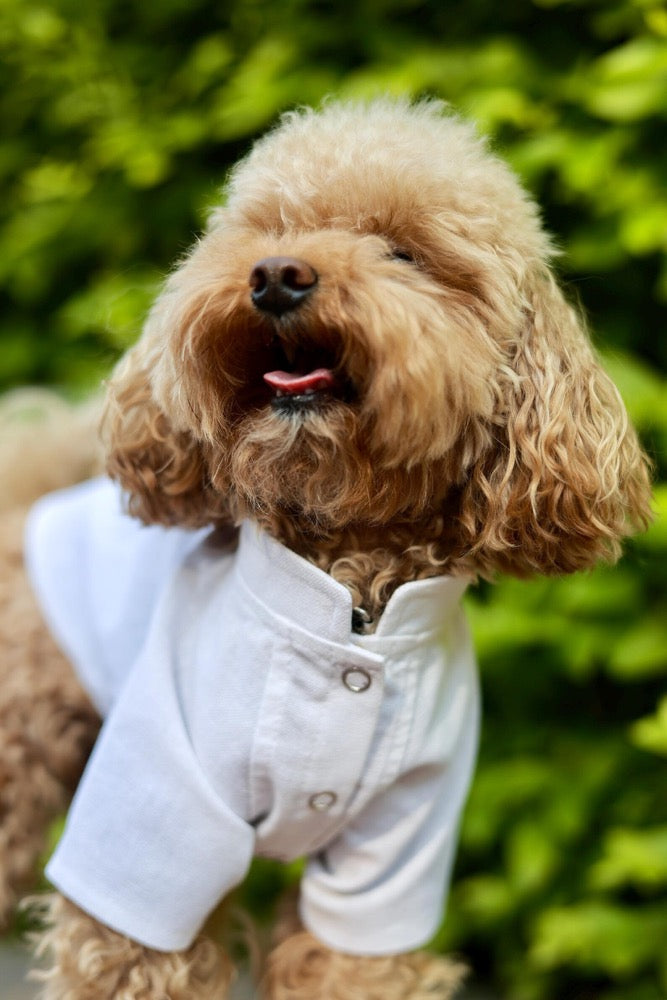 Linen Dog Shirt: Breathable Puppy Clothes