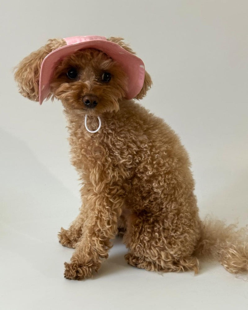 Dog Sun Hat, Pink Dog Panama Hat, Small Dog Summer Hat, Cute Dog Accessories, Puppy Hat, Dog Denim Hat