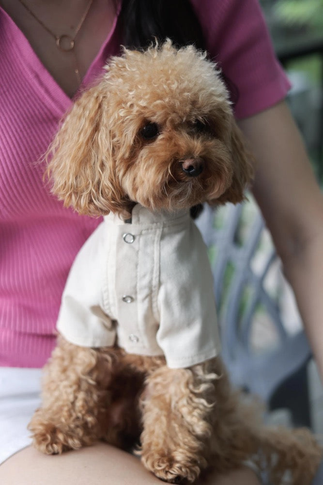 Linen Dog Shirt: Breathable Puppy Clothes