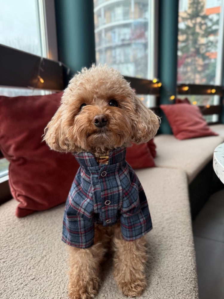 Handmade Plaid Dog Shirt, Stylish Small Dog Apparel