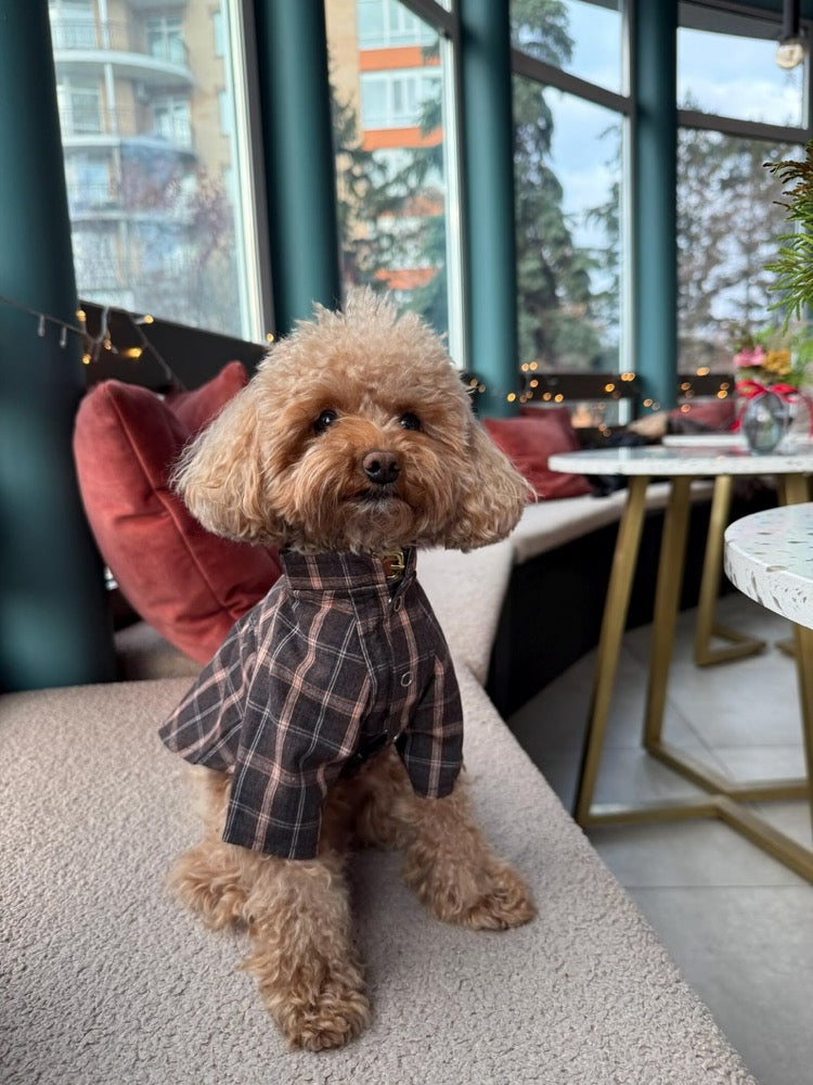 Handmade Plaid Dog Shirt, Stylish Small Dog Apparel