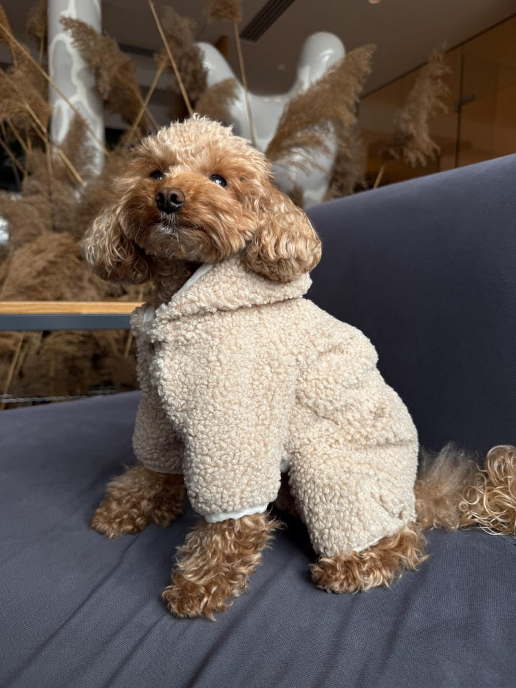 Teddy Dog Jumpsuit. Warm. Comfortable Winter Outfit
