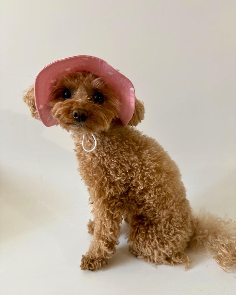 Dog Sun Hat, Pink Dog Panama Hat, Small Dog Summer Hat, Cute Dog Accessories, Puppy Hat, Dog Denim Hat