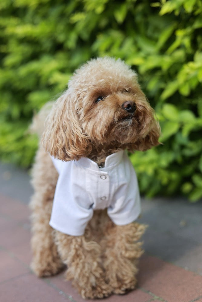 Linen Dog Shirt: Breathable Puppy Clothes