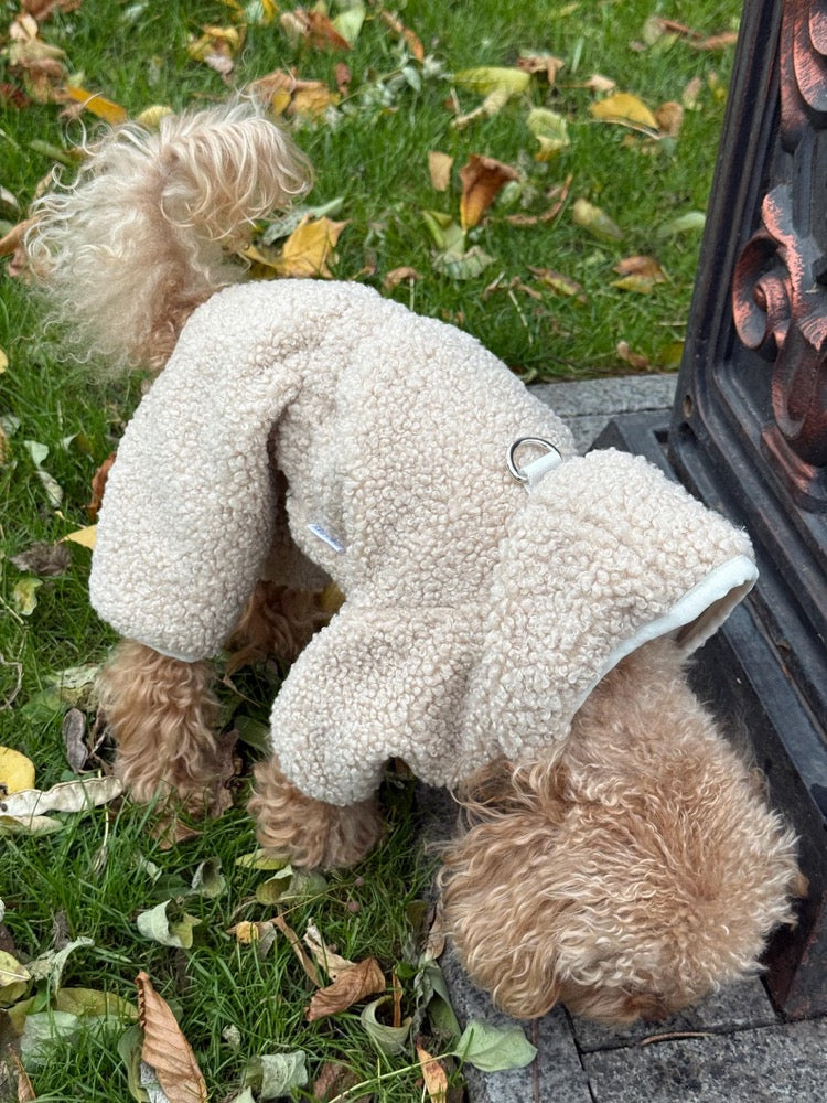 Teddy Dog Jumpsuit. Warm. Comfortable Winter Outfit