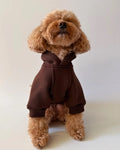 Fleece Dog Hoodie, Cozy Puppy Sweater